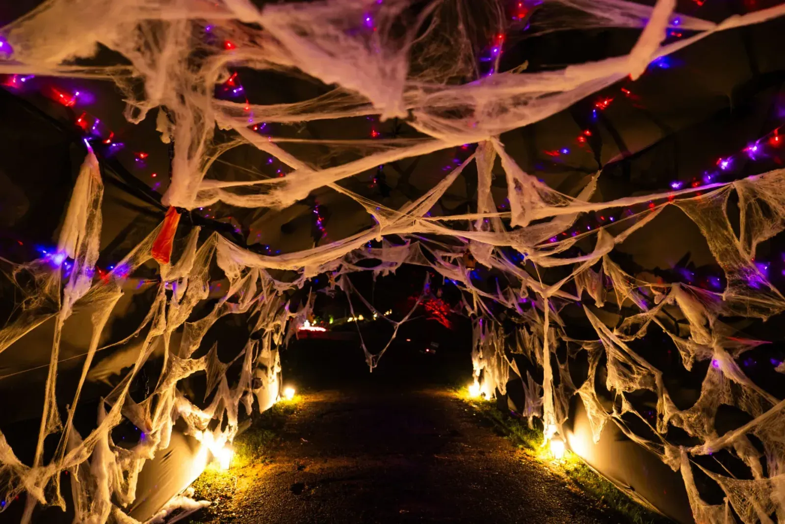 Decoruri de Halloween și program prelungit la Lumina Park din Grădina Botanică